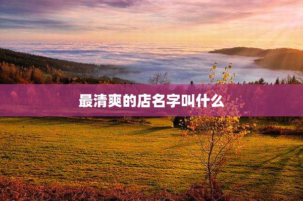最清爽的店名字叫什么