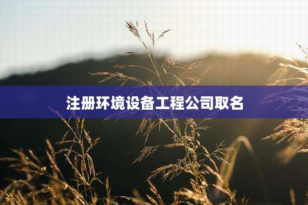 注册环境设备工程公司取名