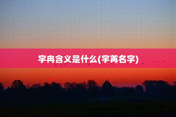 宇冉含义是什么(宇苒名字)