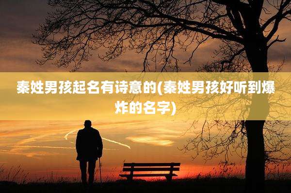 秦姓男孩起名有诗意的(秦姓男孩好听到爆炸的名字)