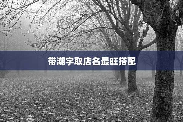 带潮字取店名最旺搭配