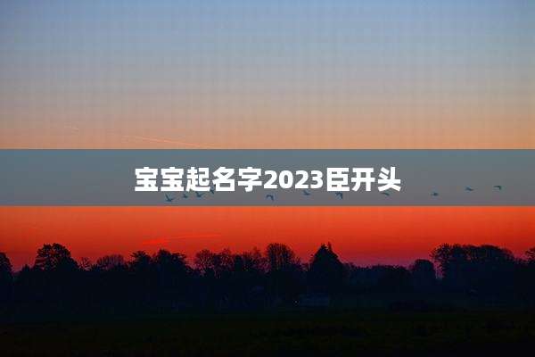 宝宝起名字2023臣开头