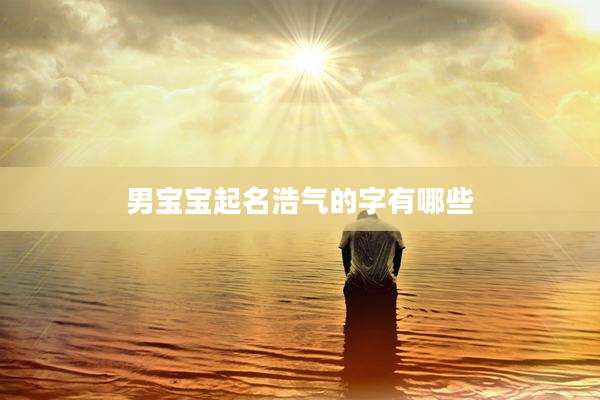 男宝宝起名浩气的字有哪些