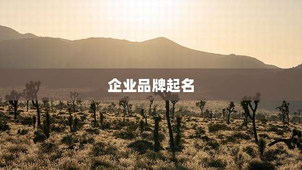 企业品牌起名
