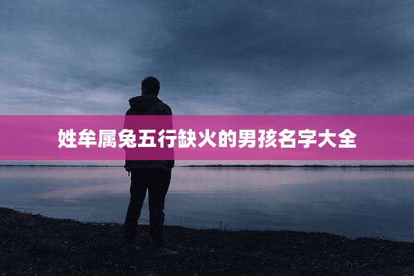 姓牟属兔五行缺火的男孩名字大全