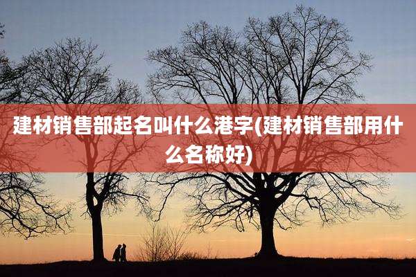 建材销售部起名叫什么港字(建材销售部用什么名称好)