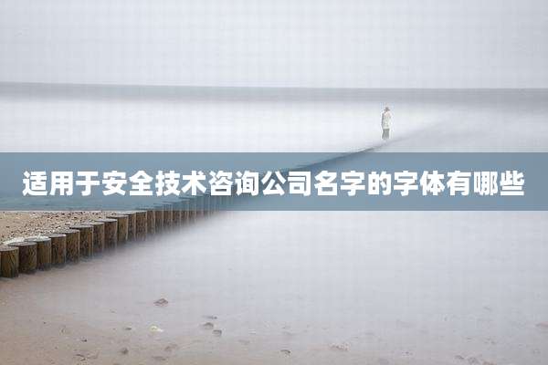 适用于安全技术咨询公司名字的字体有哪些