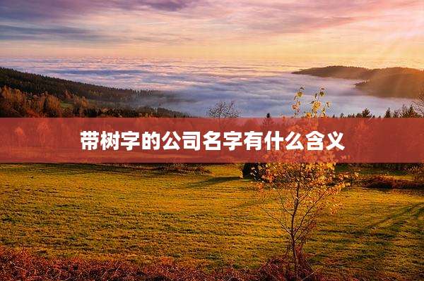 带树字的公司名字有什么含义