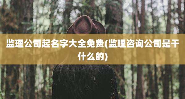 监理公司起名字大全免费(监理咨询公司是干什么的)