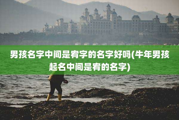 男孩名字中间是宥字的名字好吗(牛年男孩起名中间是宥的名字)