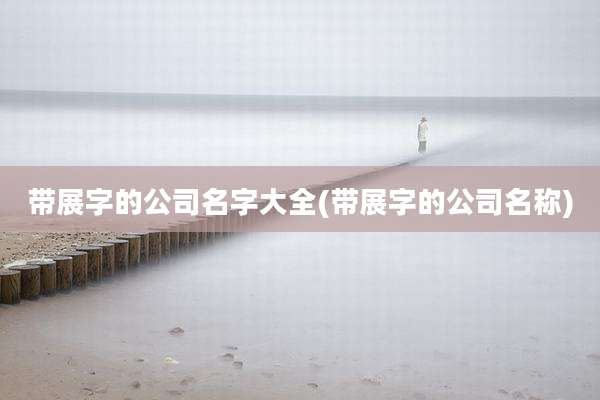 带展字的公司名字大全(带展字的公司名称)