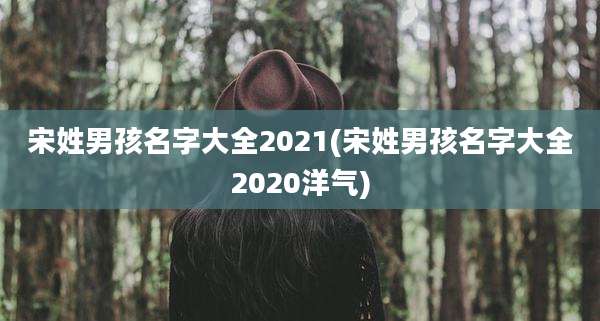 宋姓男孩名字大全2021(宋姓男孩名字大全2020洋气)