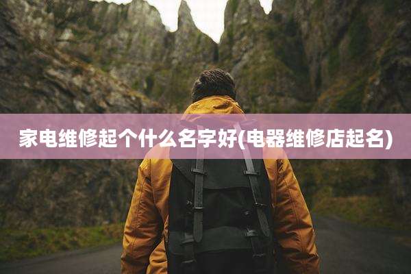 家电维修起个什么名字好(电器维修店起名)