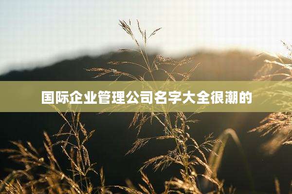 国际企业管理公司名字大全很潮的