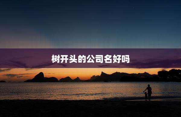 树开头的公司名好吗