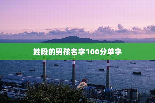 姓段的男孩名字100分单字