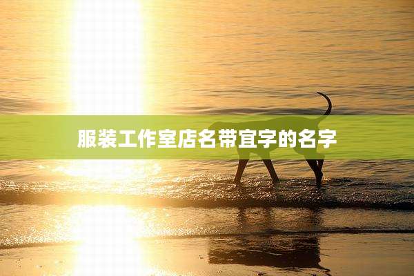 服装工作室店名带宜字的名字