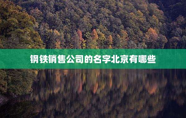 钢铁销售公司的名字北京有哪些