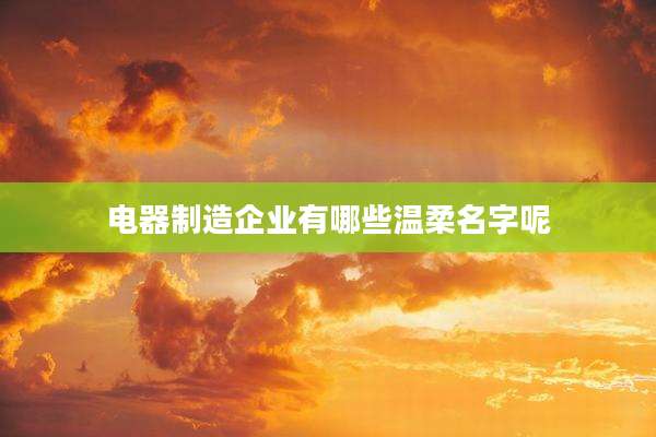 电器制造企业有哪些温柔名字呢