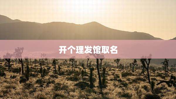 开个理发馆取名