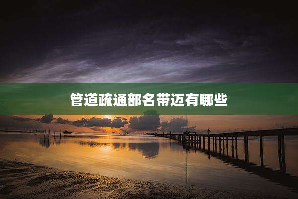 管道疏通部名带迈有哪些