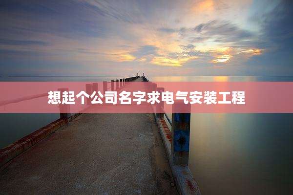 想起个公司名字求电气安装工程