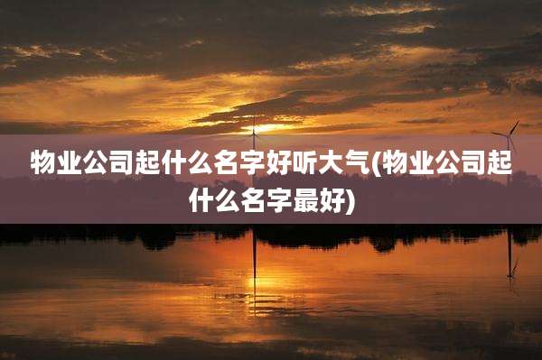 物业公司起什么名字好听大气(物业公司起什么名字最好)