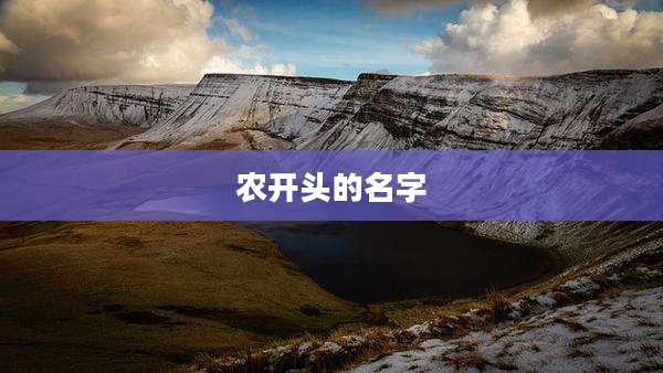 农开头的名字