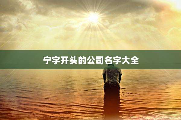 宁字开头的公司名字大全