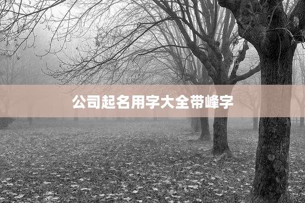 公司起名用字大全带峰字