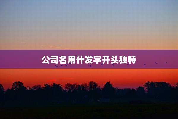 公司名用什发字开头独特