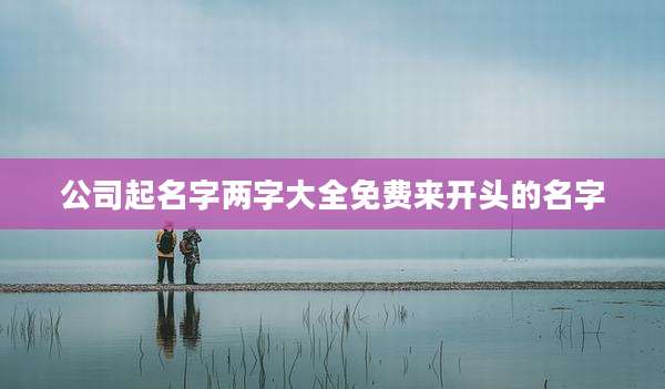 公司起名字两字大全免费来开头的名字