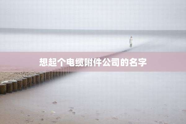 想起个电缆附件公司的名字