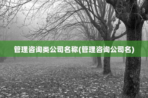 管理咨询类公司名称(管理咨询公司名)