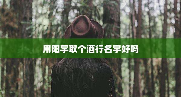 用阳字取个酒行名字好吗