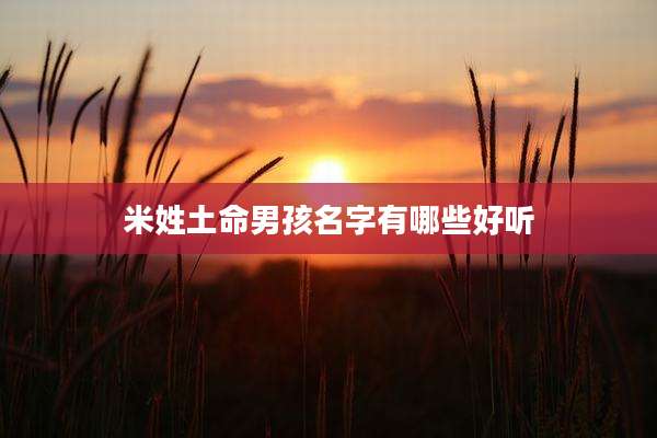 米姓土命男孩名字有哪些好听