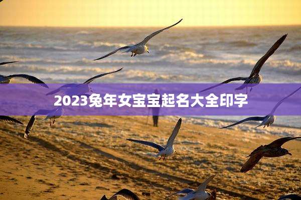 2023兔年女宝宝起名大全印字