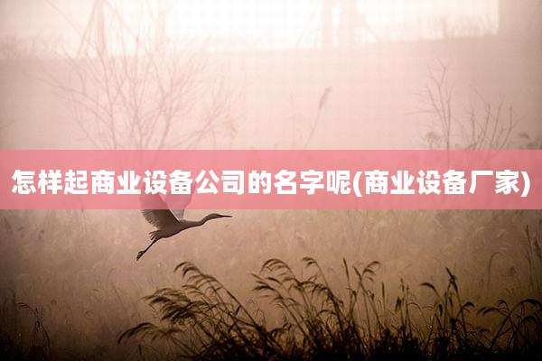 怎样起商业设备公司的名字呢(商业设备厂家)