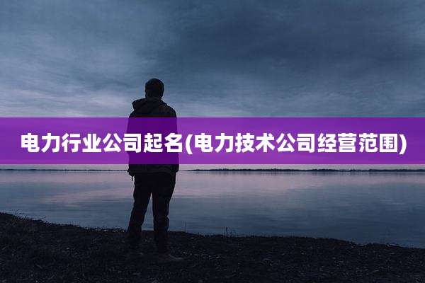 电力行业公司起名(电力技术公司经营范围)