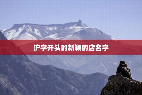 沪字开头的新颖的店名字