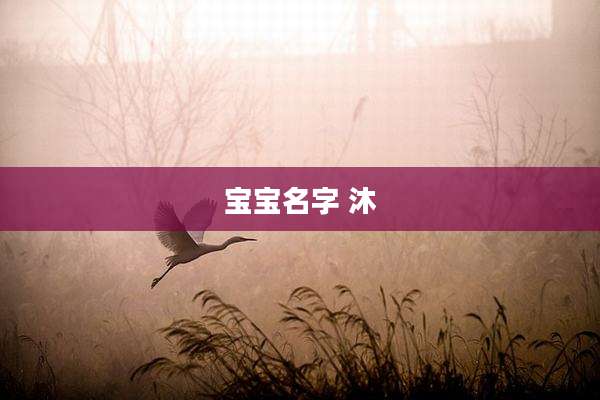 宝宝名字 沐