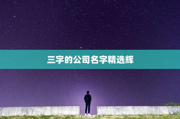 三字的公司名字精选辉