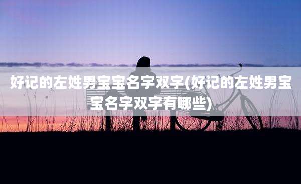 好记的左姓男宝宝名字双字(好记的左姓男宝宝名字双字有哪些)