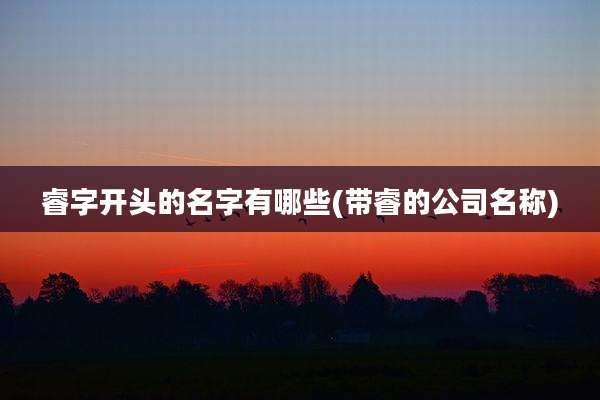 睿字开头的名字有哪些(带睿的公司名称)