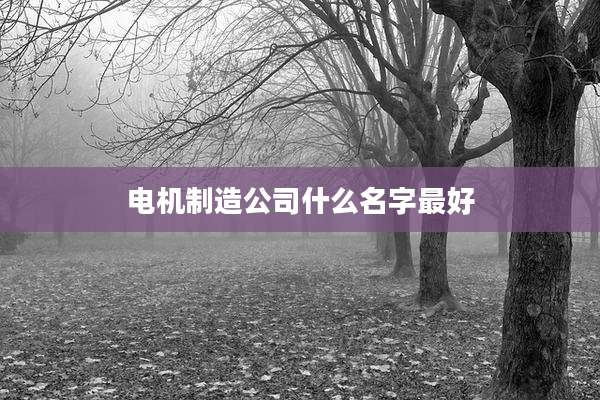 电机制造公司什么名字最好