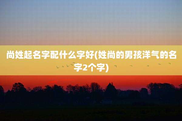尚姓起名字配什么字好(姓尚的男孩洋气的名字2个字)