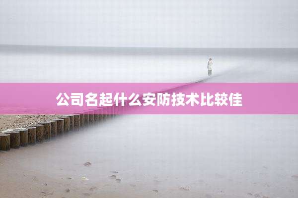 公司名起什么安防技术比较佳