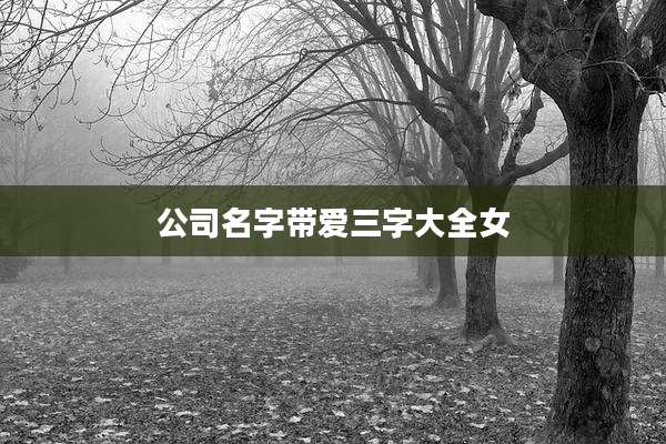 公司名字带爱三字大全女