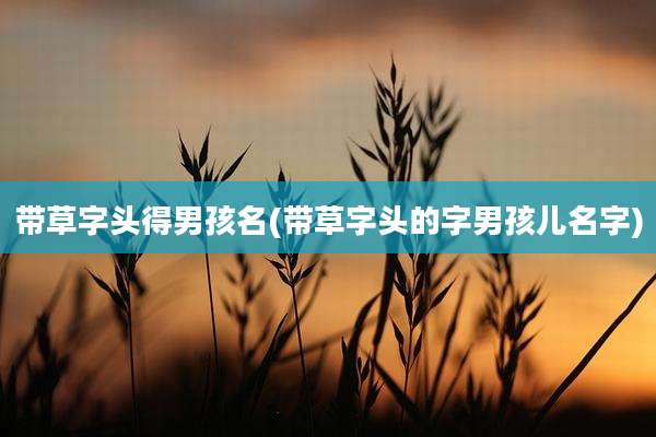 带草字头得男孩名(带草字头的字男孩儿名字)