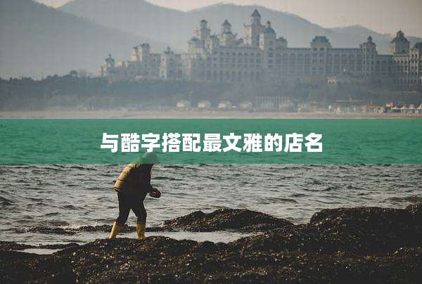 与酷字搭配最文雅的店名